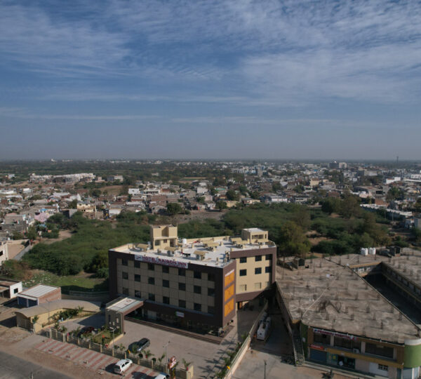 Bird View